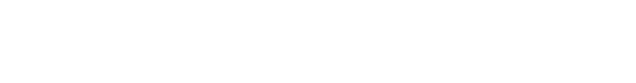 San Antonito CDP (Socorro County) Authority
